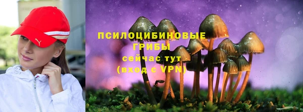 таблы Гусиноозёрск