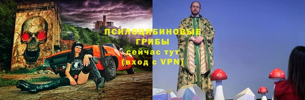 стафф Горнозаводск