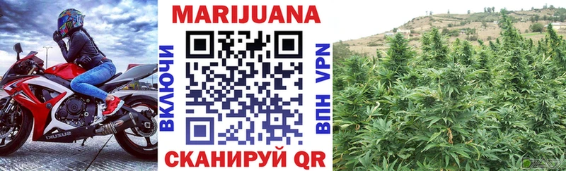 Канабис план  Купить  Прохладный 